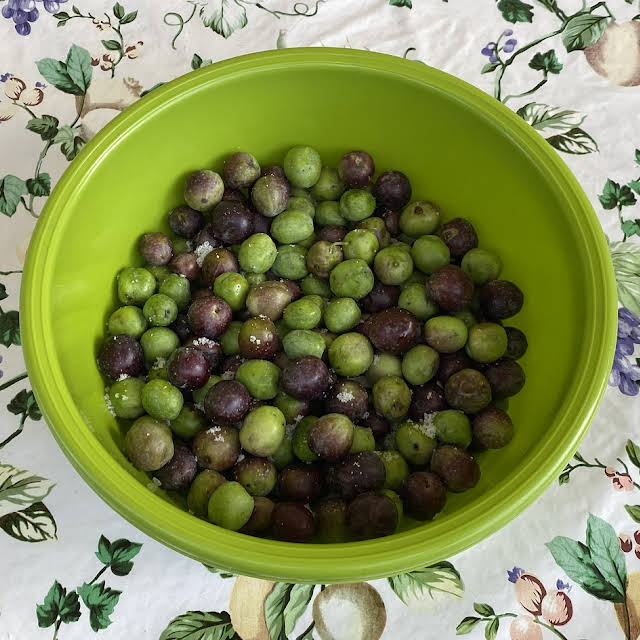 salt-cured Sicilian olives being prepped at home
