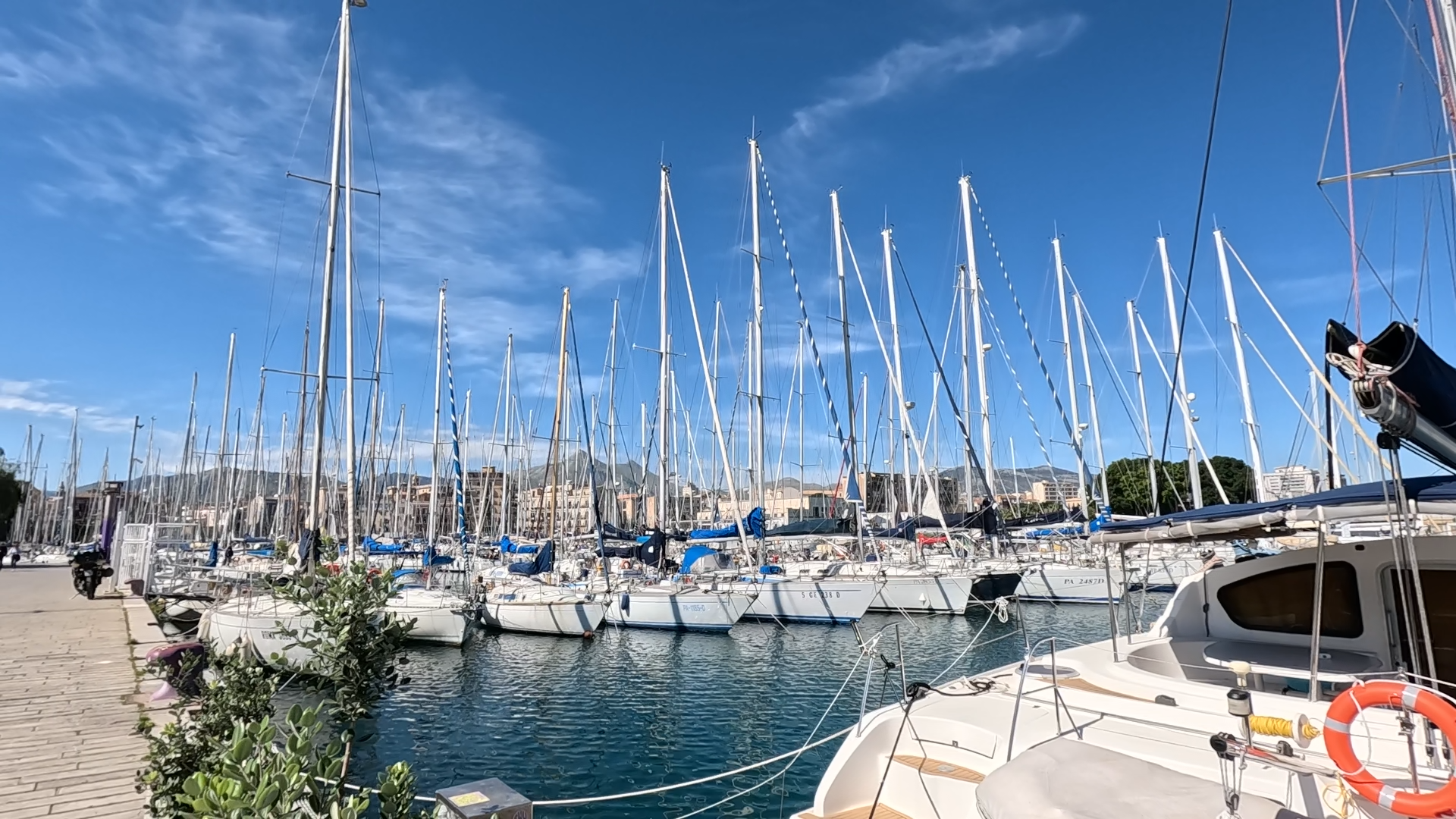 Sailboats lined up in Palermo harbor under a bright blue spring sky